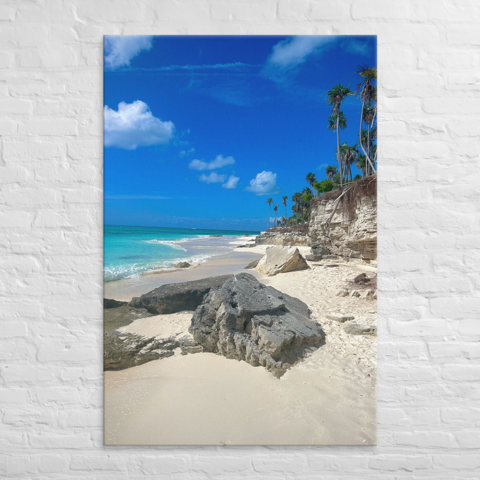 Rock On The Beach Canvas